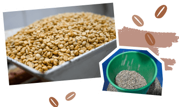 ラマ・オーガニック農園の様子