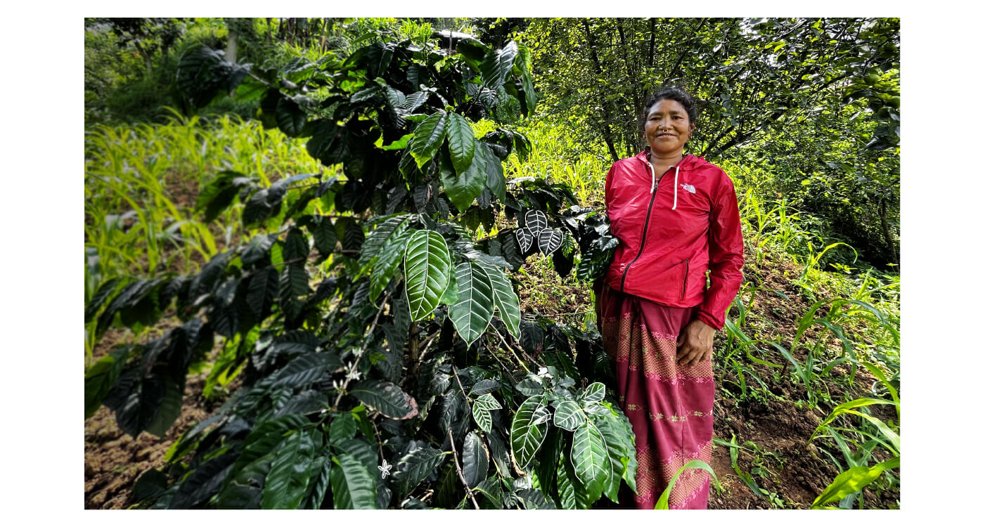 ネパールコーヒーTopImage