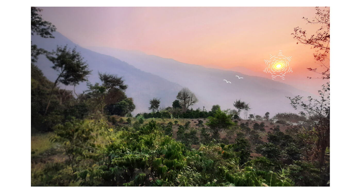 ネパールコーヒーTopImage